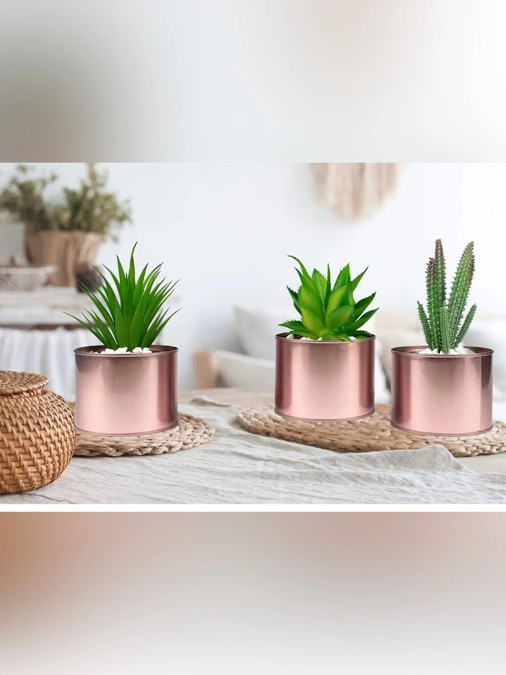 Rose Gold Metal Succulent Planter - Decorative Indoor Pot